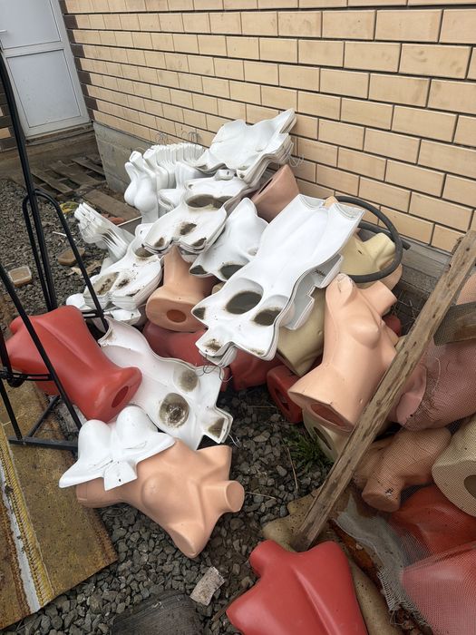 Пырадам иди виши