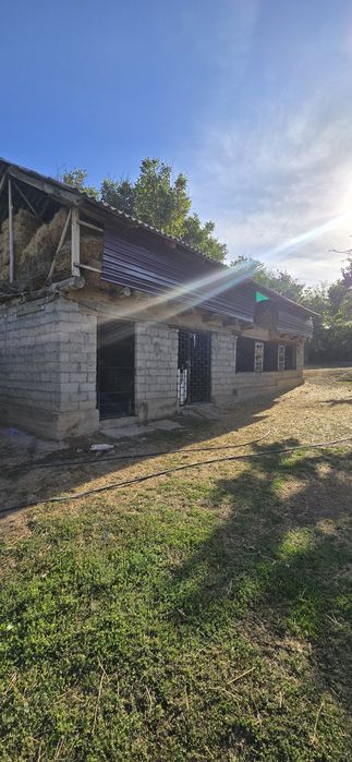 Үй сатылады тез арада