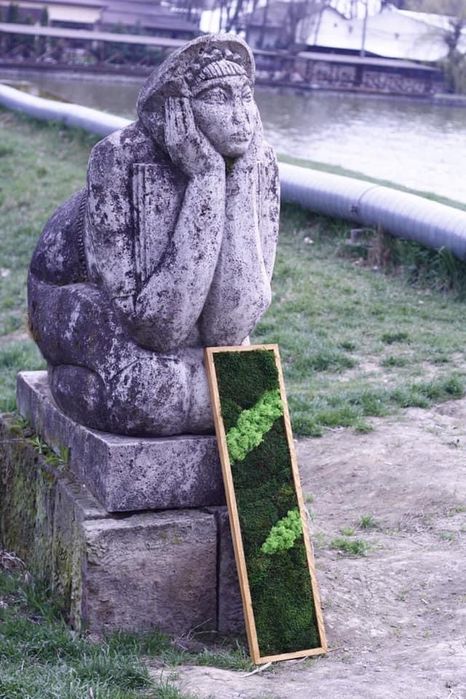 Tablouri licheni