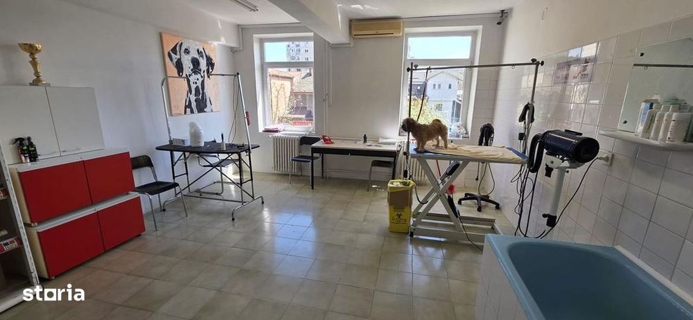 Inchiriere spatiu in vila Sebastian LIDL ideal birouri