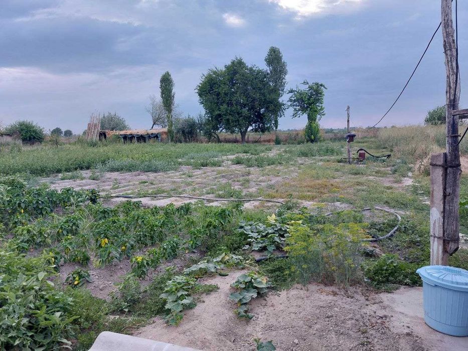 Таш. Обл. продается дом 55 соток. 4 комнаты