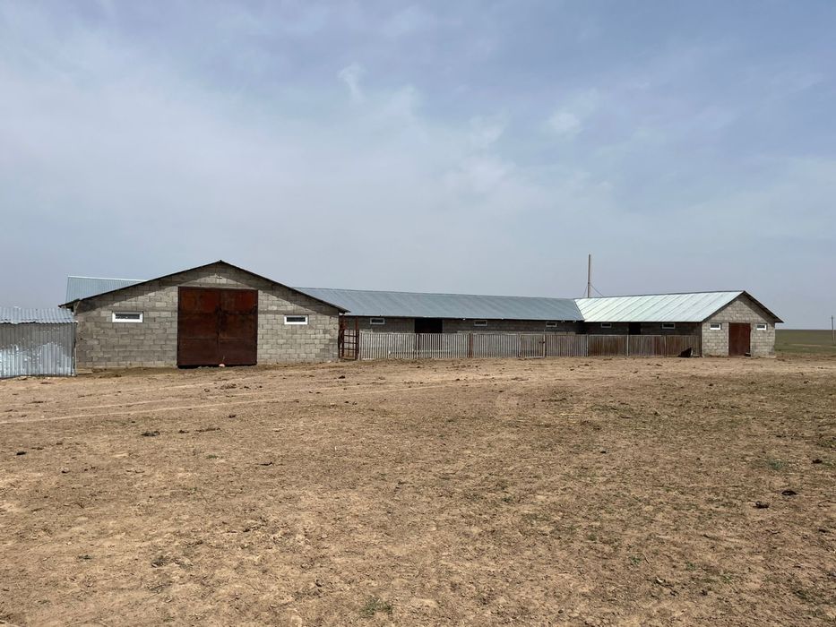 Продаестся КХ 1080 га в Жамбылском районе