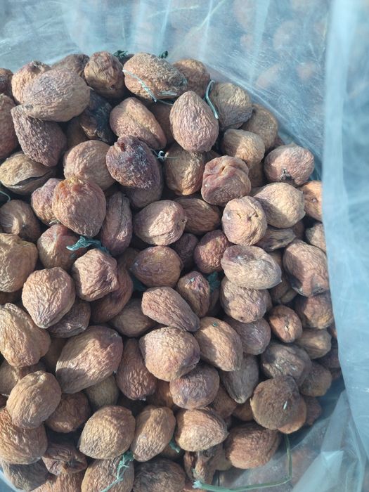 Очень вкусный сорт урюка