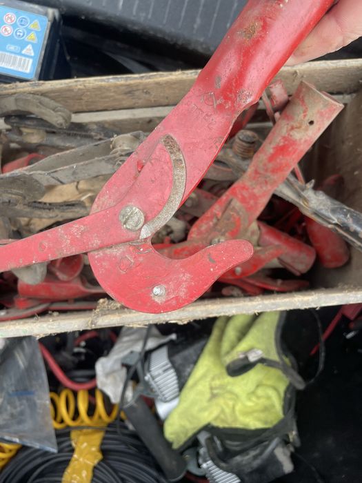 Сикатор верховой, сучкорез