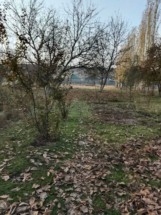 участок 25 соток