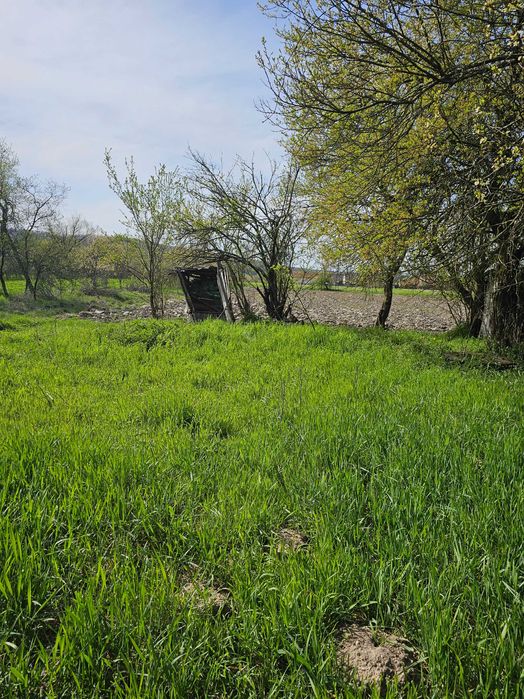 Vand casa cu gradina in sat Tela comuna Bata jud.Arad.