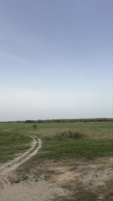 Земля сенокос пашня сено кх