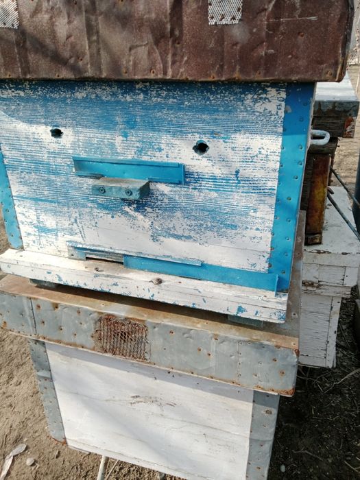 Улья для пчеловодства