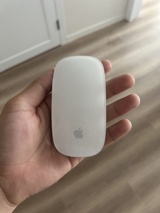 Apple Magic Mouse 1