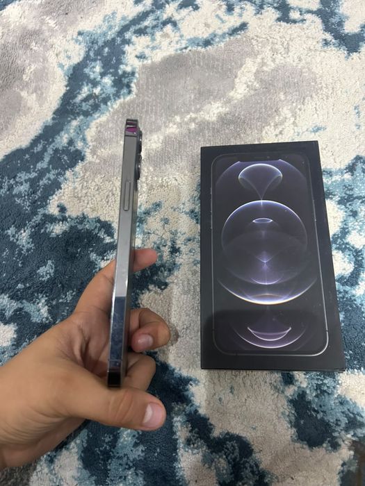 iPhone 12 pro max