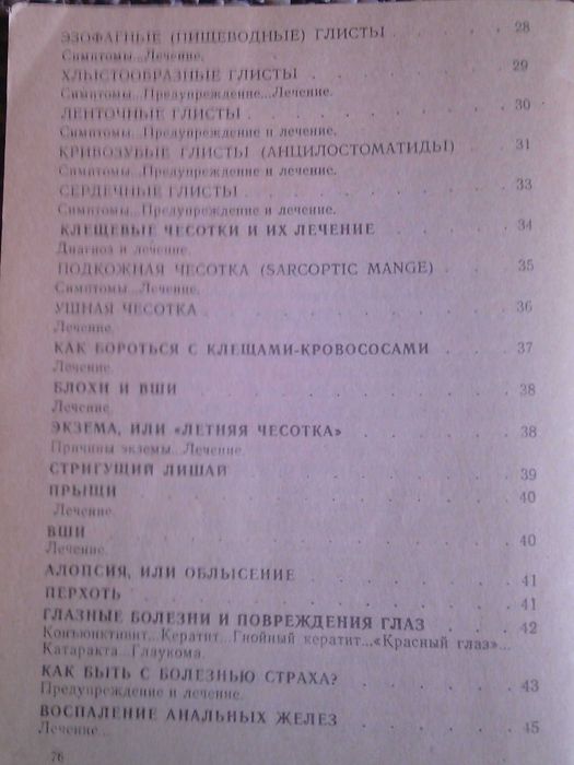 Собаки животные собаки