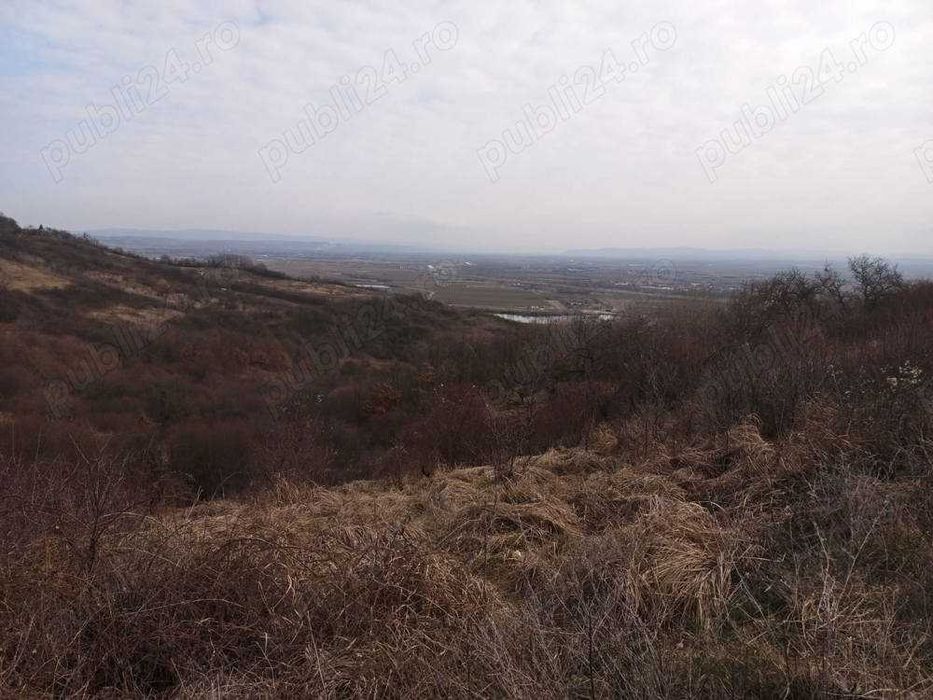 Teren ingradit cu panorama de vinzare Podgoria