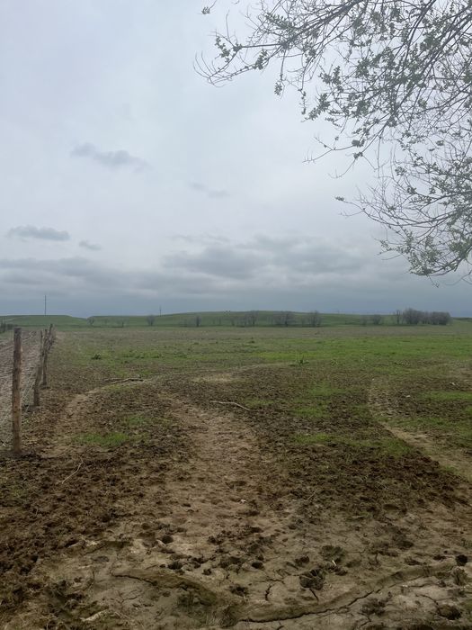 Продается Фазенда | Кашар сатылады