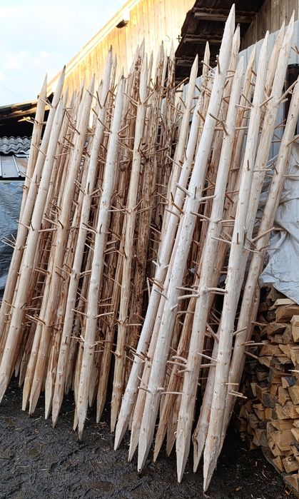 Prepelecii tradiționali