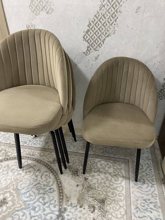 Новые стулья (17000)