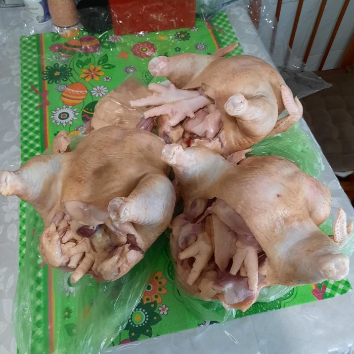 Carne gaina crescuta cu cereale, judet iasi