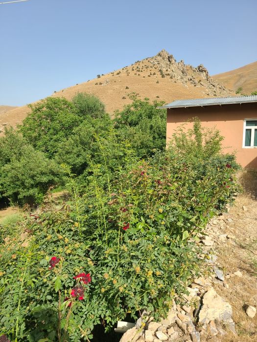 Дача участок ситилади