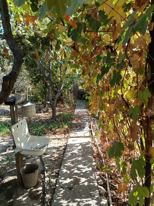 Продается дача Паркент