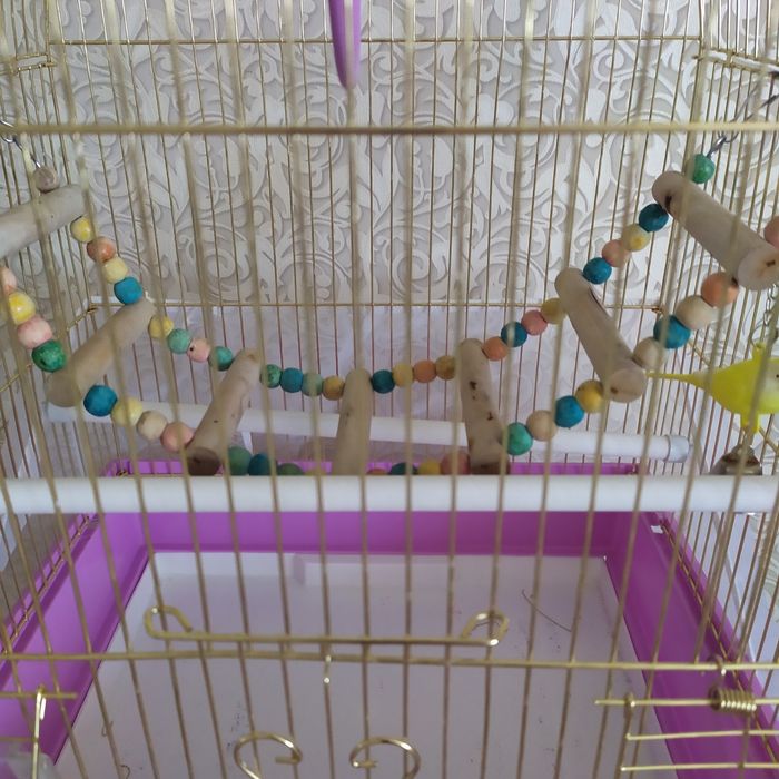 Клетка для птиц, в комплекте