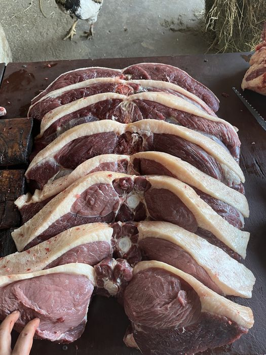 Продам жирных лошадей с откорма