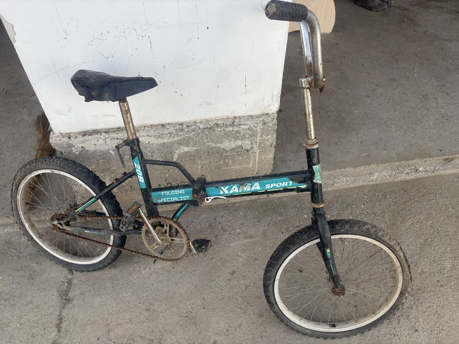 Екеуін арзан бағада беріп жіберемін