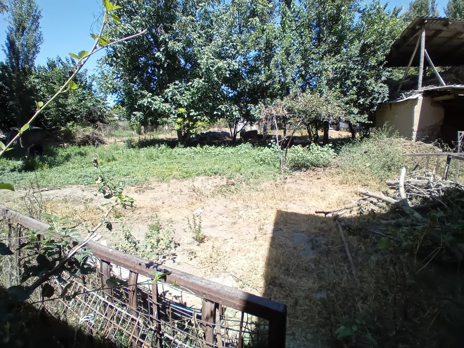 Земля продаётся в таш тогизак