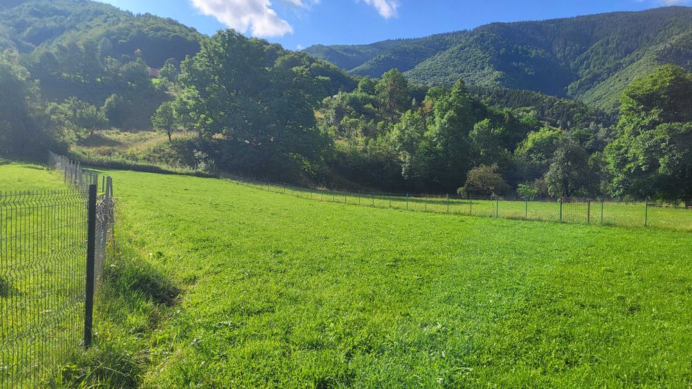 Teren de vânzare