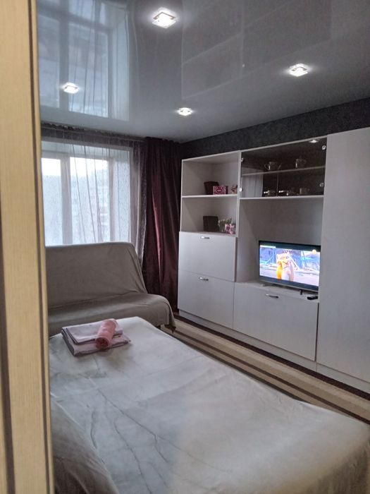 1,5ка посуточно в центре