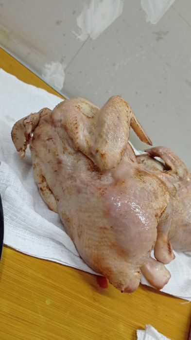 мясо куры домашние