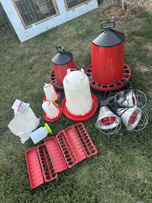 Set crestere pui