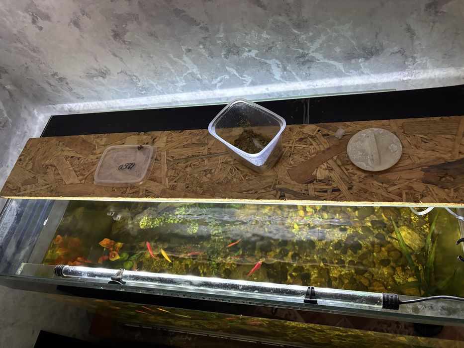 Продаеться оквариум с рыбками