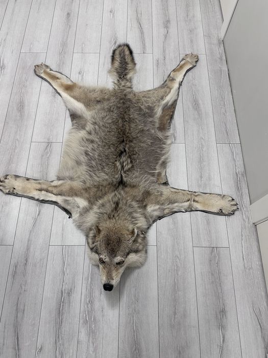 Шерсть волка на пол