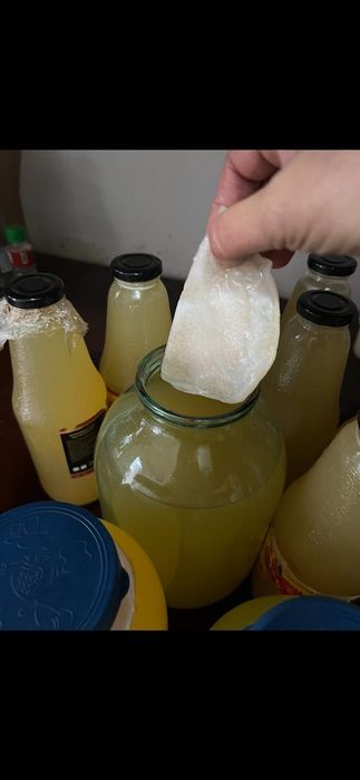 Домашний  яблочный  уксус