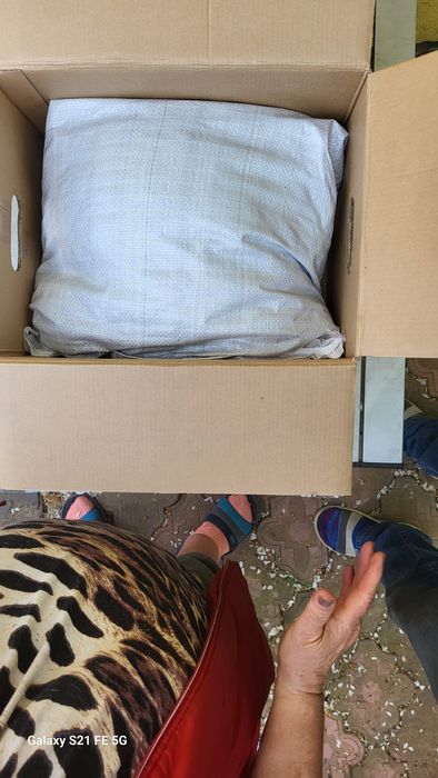 Vând viermi,rame,cutii momeala,preturi bune.