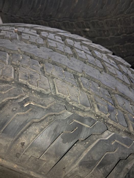 Шина летные бричтаун