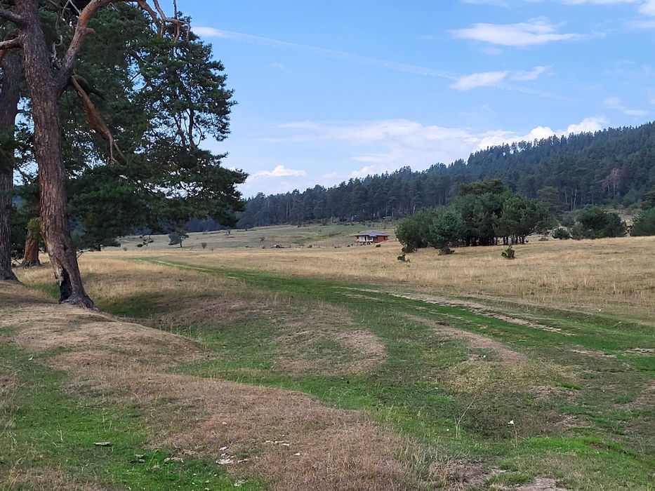 Продава се Парцел в Батак - 5000 кв.м за 16 €/кв.м - Снимка #1