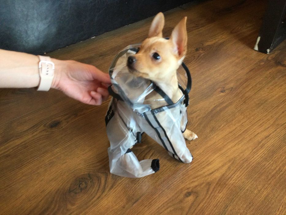 НОВ прозрачен дъждобран за куче от Италия размер S