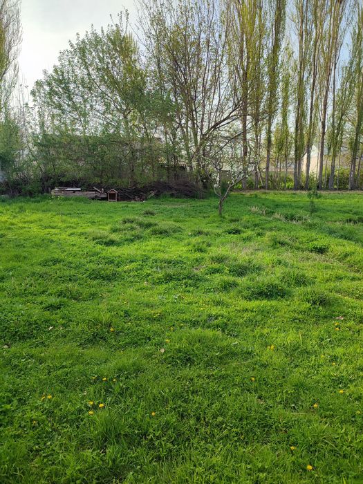 Ер сотилади юкоричирчик тумани 80 ота