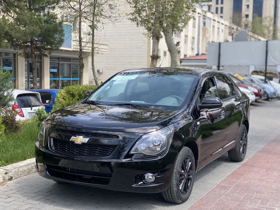 Cobalt 2026 МСМ Pachka