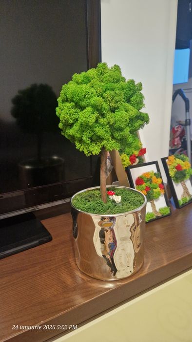 Martisor Copăcel din licheni stabilizati