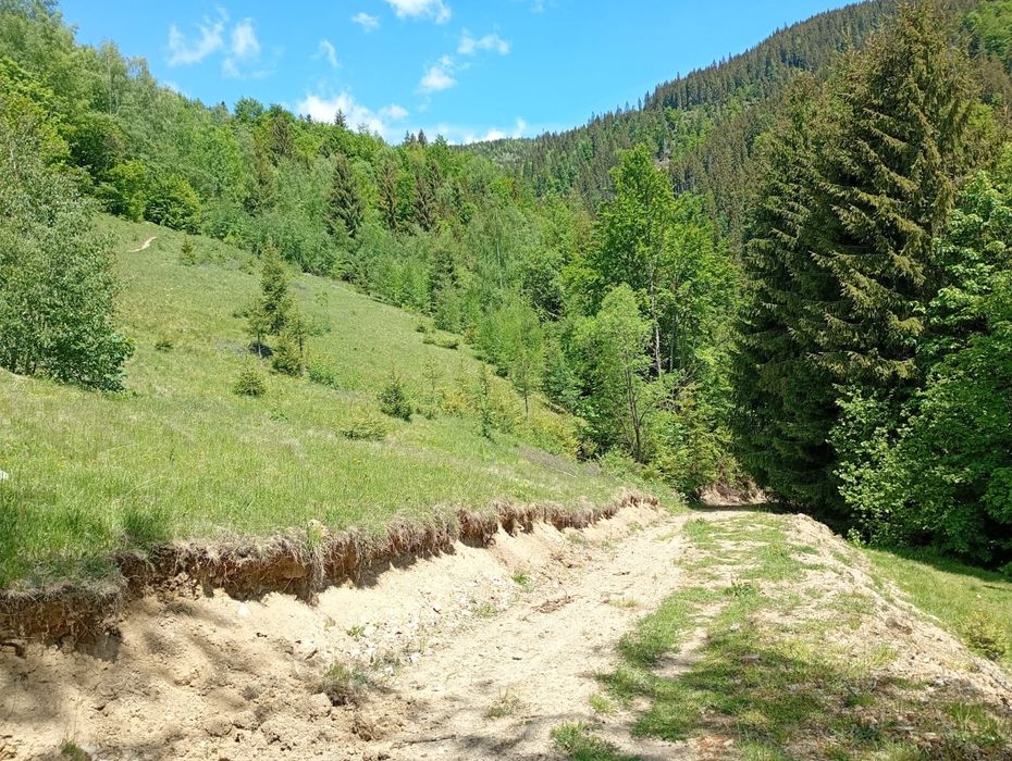 Vand teren plus anexe acasa si grajd