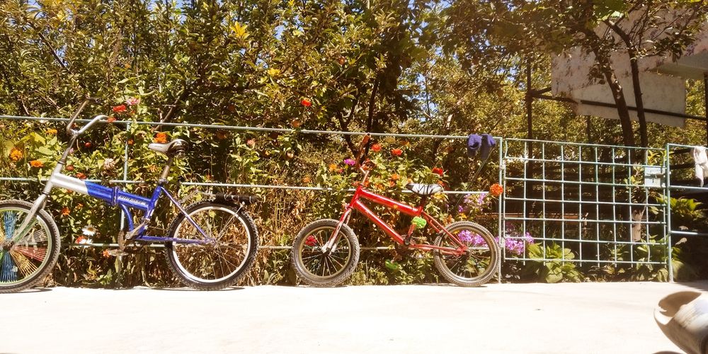 Гарантия жок бермеймин