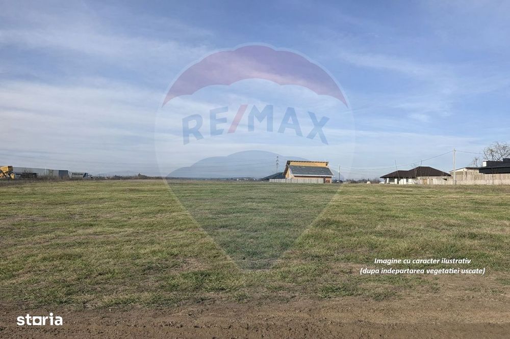 Teren intravilan 7478 mp Bucov, parcelabil, ideal investiție