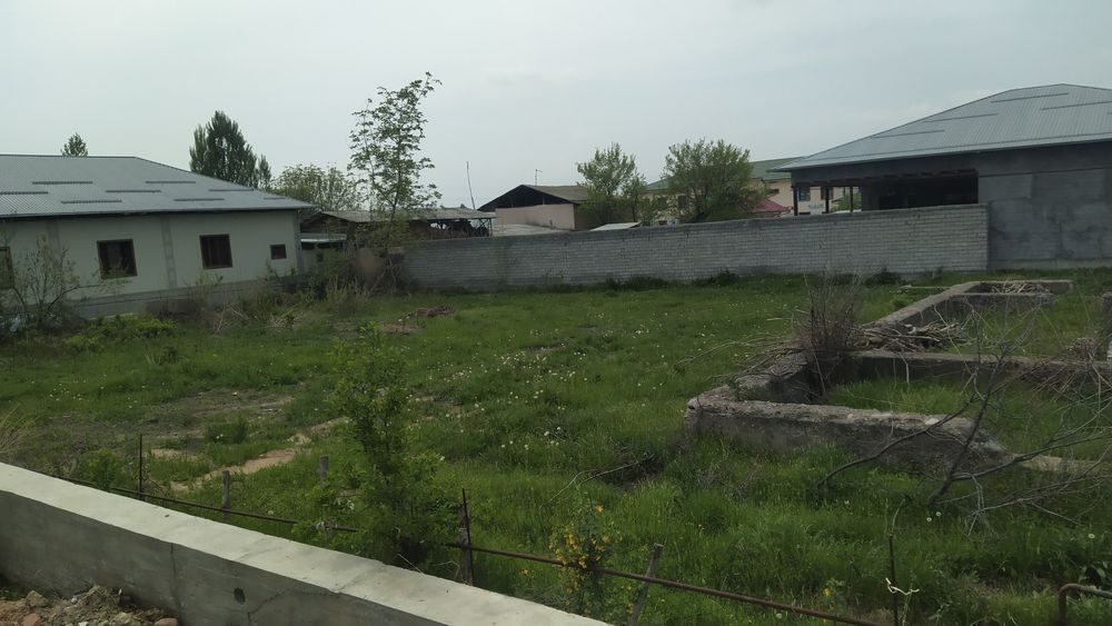 12 сотох участка