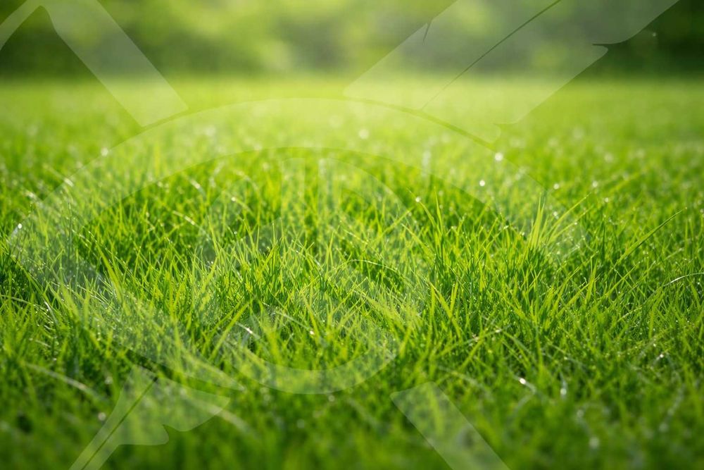 Парцел в с.Рогош! 102392