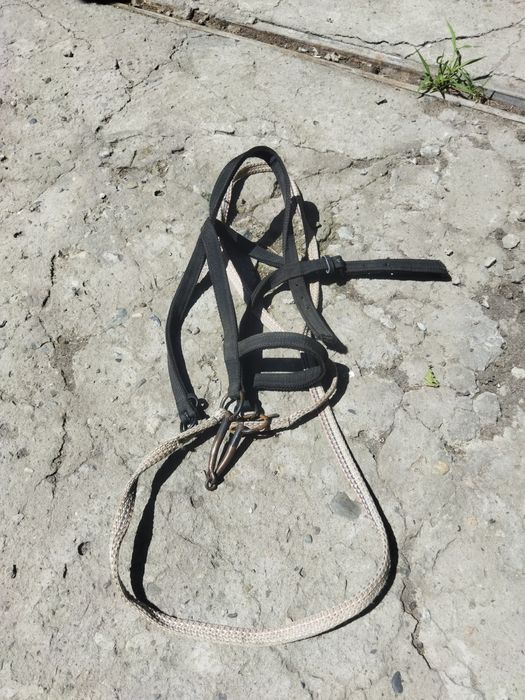 Конная аммуниция