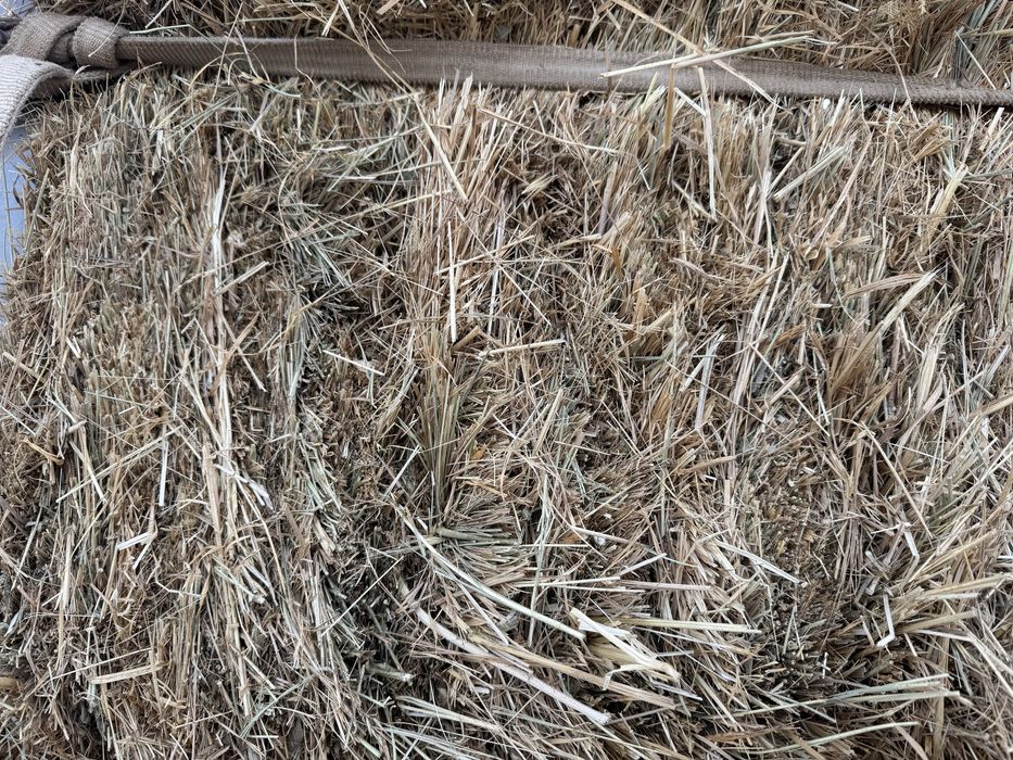 шөп прес пресс пшен