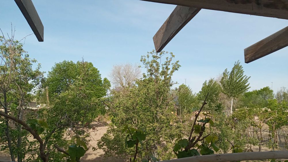 Жай ссатилад Чимбайский р-н