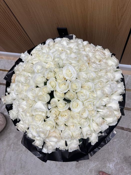 Гул сатамын 151 штук