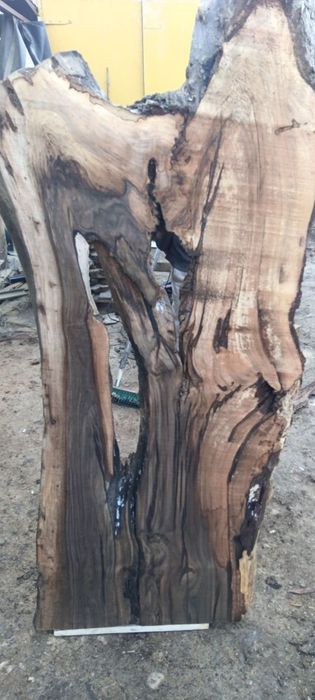 Placi lemn uscat nuc, stejar, ulm, paltin